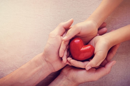 Adult and childs hands holding onto a heart
